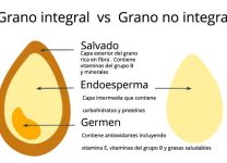 Diferencias Entre Granos Enteros y Refinados: Qué Es Mejor Para Ti