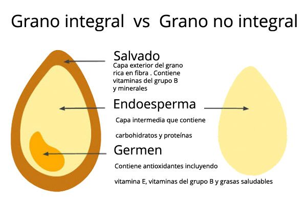 diferencias entre granos enteros y refinados que es mejor para ti