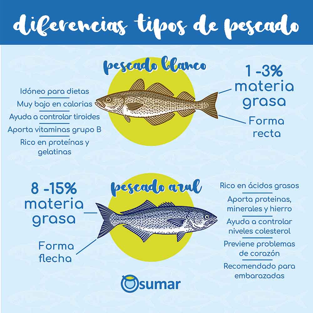 diferencias entre pescado azul y blanco beneficios y aplicaciones