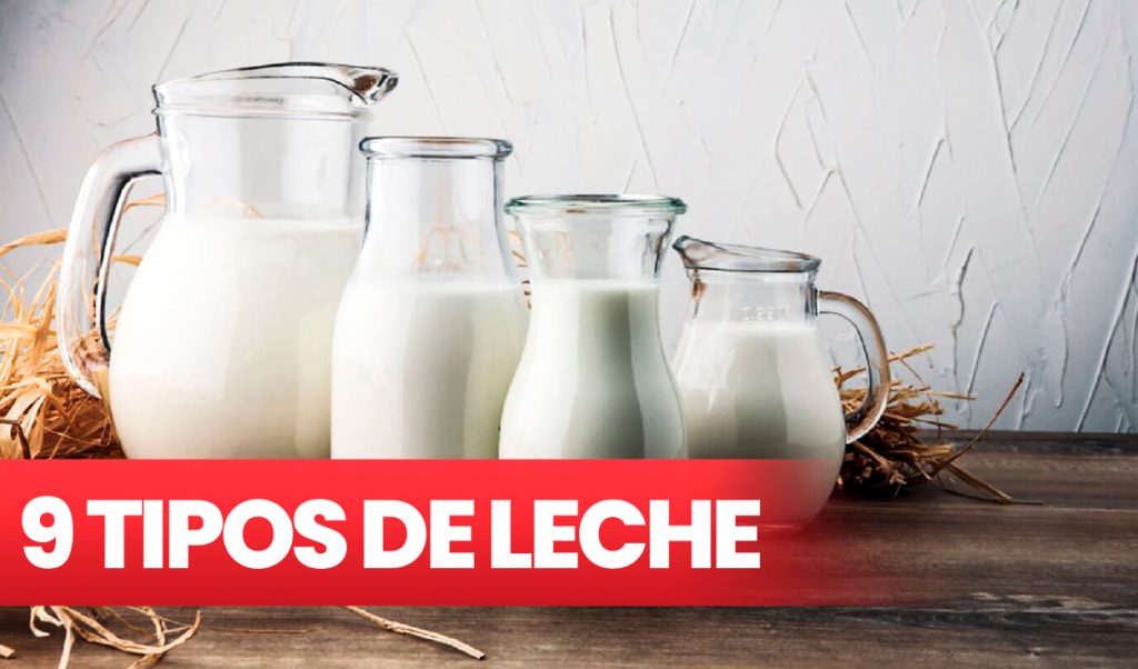 diferentes tipos de leche y sus usos en la cocina