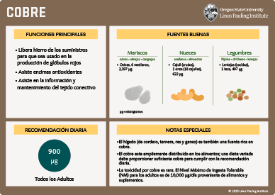 el papel del cobre en la formacion de globulos rojos y la produccion de energia