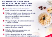 Estrategias Para Una Longevidad Saludable a Través De La Alimentación