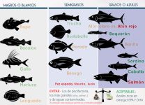 Guía Completa De Tipos De Pescados y Sus Usos En La Cocina