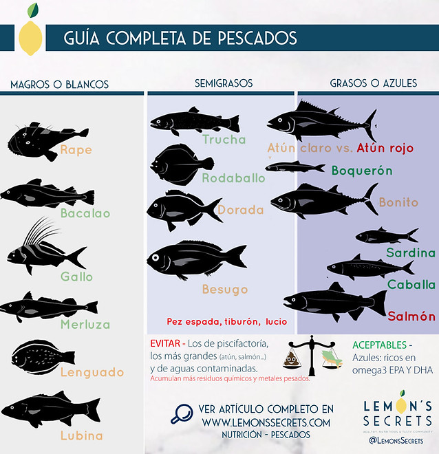 guia completa de tipos de pescados y sus usos en la cocina