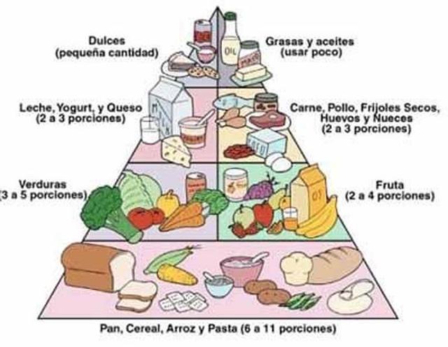 guia completa para equilibrar tus comidas diarias