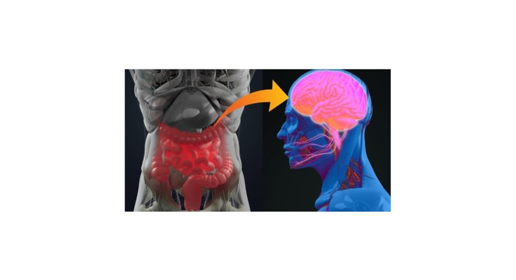 impacto de los alimentos fermentados en la salud mental