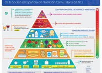 Impacto De Una Buena Alimentación En El Sistema Respiratorio