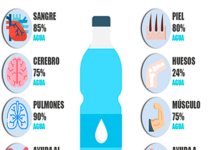 La Importancia Del Agua Para Una Vida Saludable