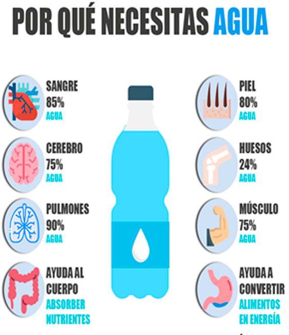 la importancia del agua para una vida saludable