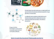 Lácteos Fermentados y Sus Beneficios Para La Salud