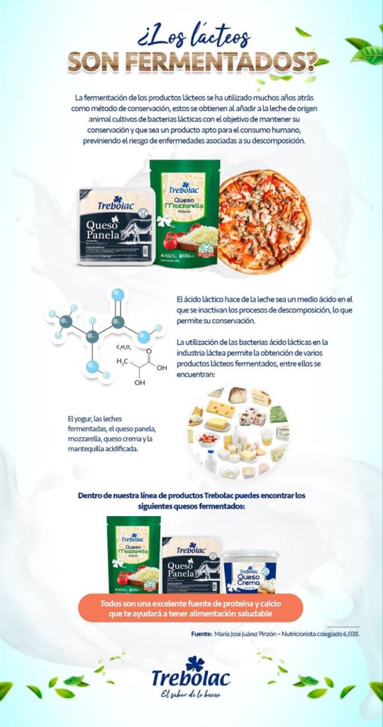 lacteos fermentados y sus beneficios para la salud