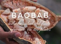 Los Beneficios Del Baobab En Tu Salud y Cocina