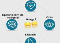 Los Beneficios Del Omega-3 Para La Salud Cerebral y Cardiovascular