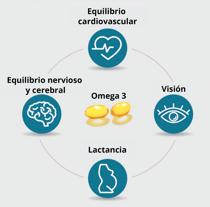 los beneficios del omega 3 para la salud cerebral y cardiovascular