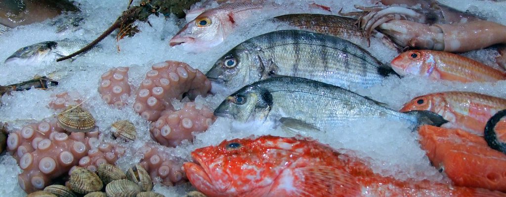 metodos de conservacion para pescado crudo en casa