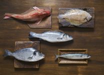 Pescados Ricos En Proteínas y Bajos En Grasas Para Una Dieta Saludable