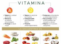 Plan De Alimentación Para Fortalecer El Sistema Inmunológico