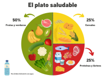 Plan De Alimentación Saludable Para Los Más Pequeños De La Casa