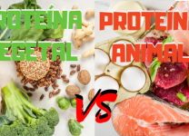 Proteínas Animales Vs. Proteínas Vegetales: Cuál Es La Mejor Opción