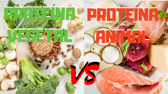 proteinas animales vs proteinas vegetales cual es la mejor opcion