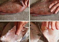 Técnicas De Fileteado Para Pescados Con Piel Gruesa