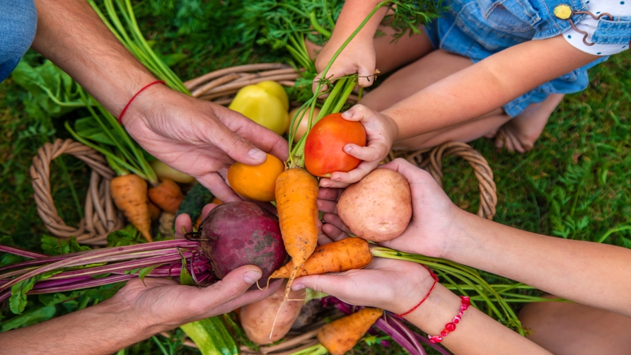 tendencias en gastronomia la revolucion de la cocina sostenible