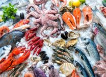 Tipos De Mariscos y Cómo Elegir Los Mejores En El Mercado