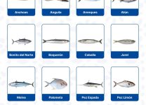 Tipos De Pescados Azules y Sus Propiedades Nutricionales