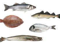 Tipos De Pescados Blancos y Sus Aplicaciones Culinarias